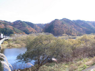R0016141.jpg