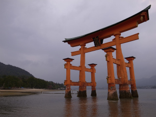 wakako_ricoh 071.jpg